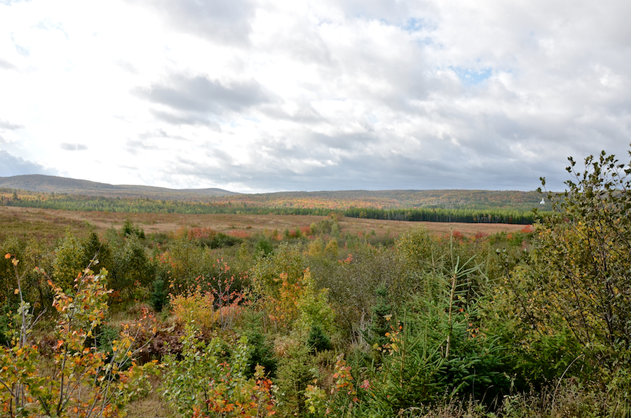 Right half of the panorama along the Whycocomagh Road
