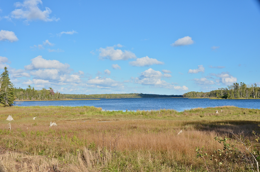 Cassells Cove
