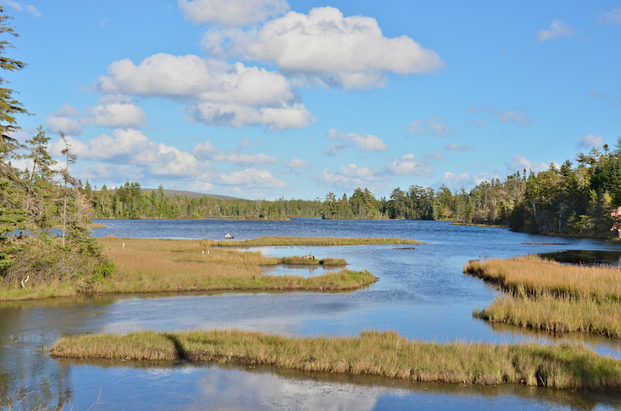 Cove off Portage Creek
