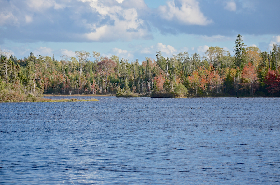 Portage Creek