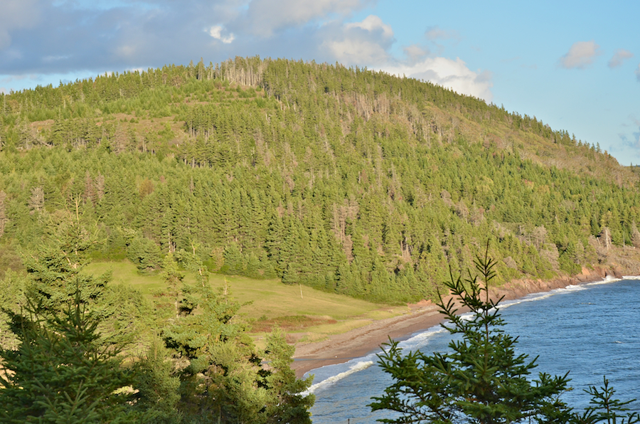 Immediately below the Derby Point Road at Pipers Cove