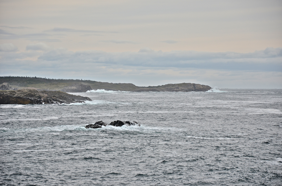 Western Gun Landing Cove Head