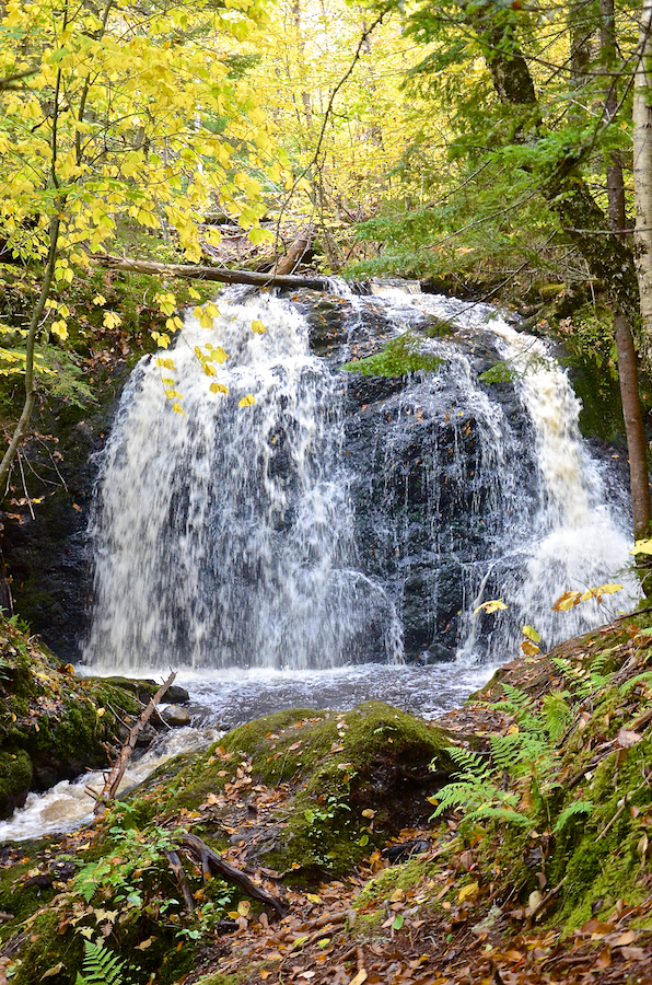 Devils Hill Falls