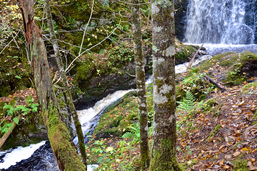 The flume at Devils Hill Falls