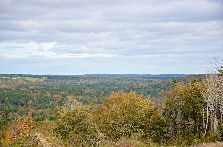 View to the northeast