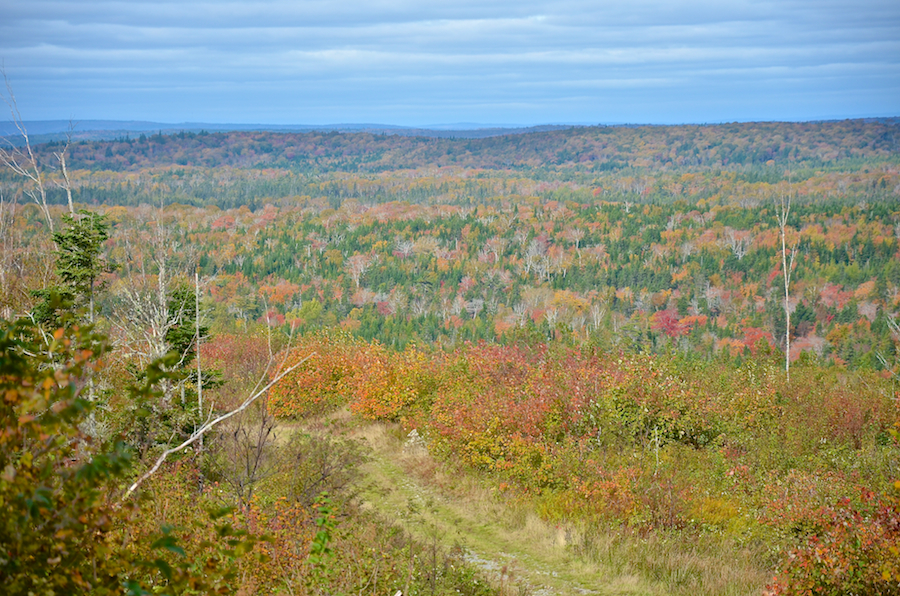 View to the north of west from Devils Hill