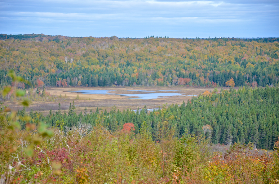 MacPhersons Meadows