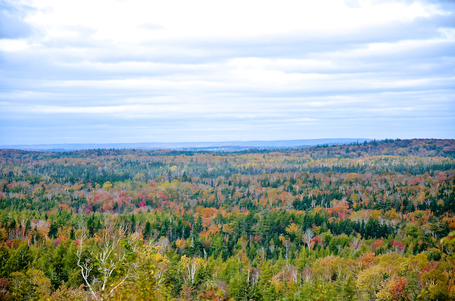 View from Devils Hill