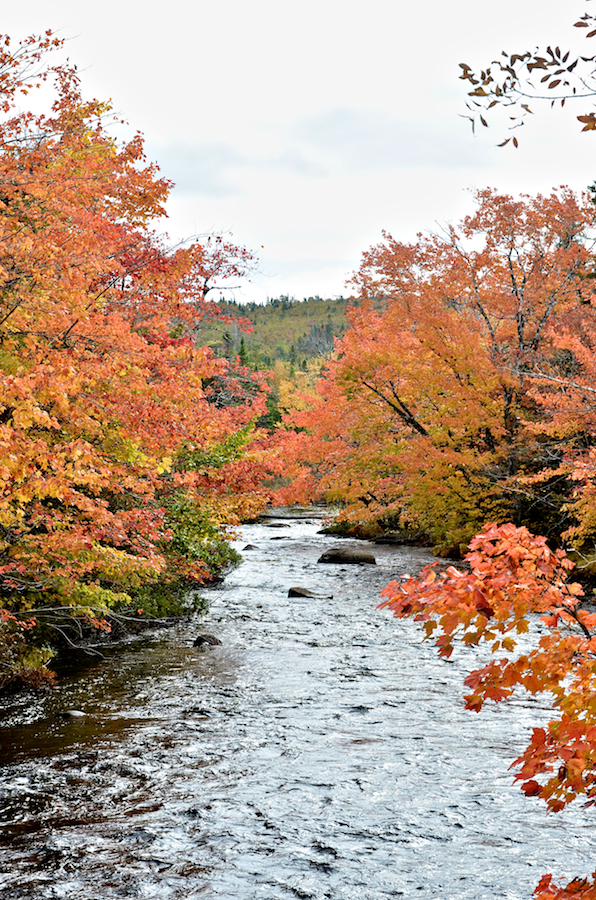 Downstream view of the Catalone River from the New Boston Road