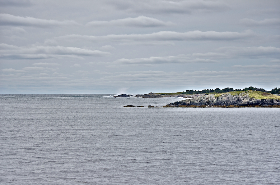 Broad Cove Head