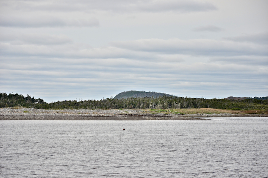 A drumlin