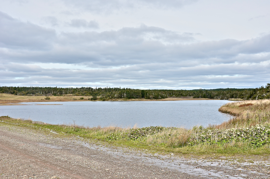 Inlet of Baleine Harbour
