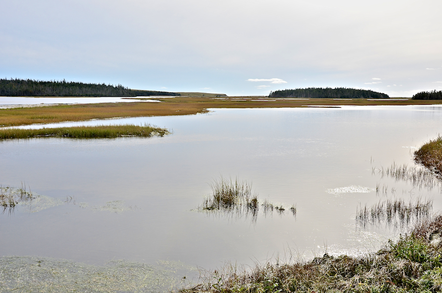 View to the south from the Fullers River Bridge