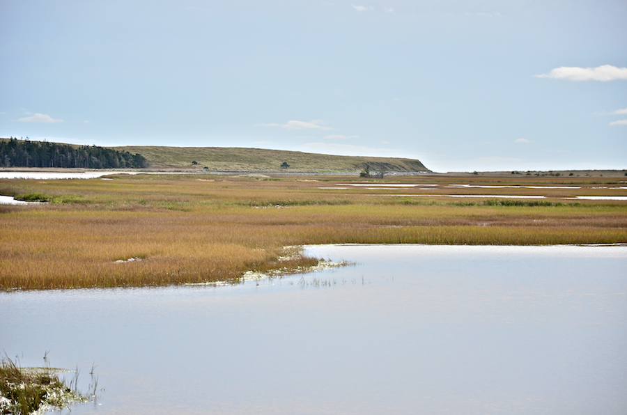 The mouth of Fullers River