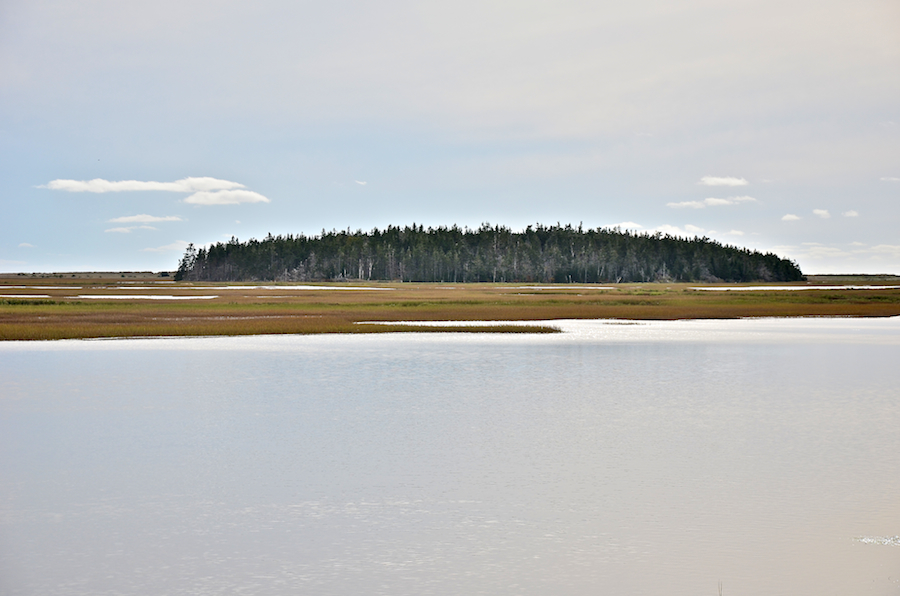 The “island” behind Morrisons Beach