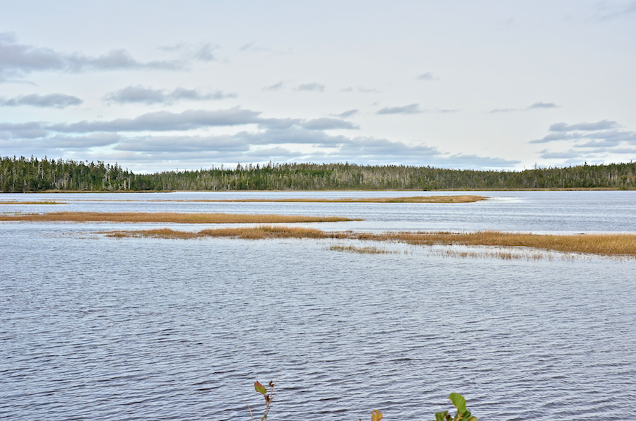 View to the north from the Fullers River Bridge