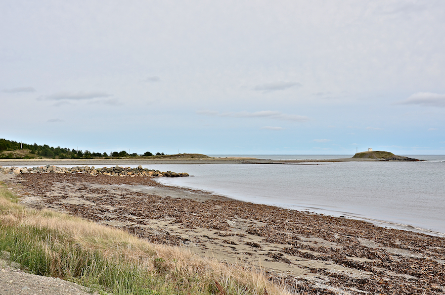 L’Archevêque Harbour looking northeast from the beach