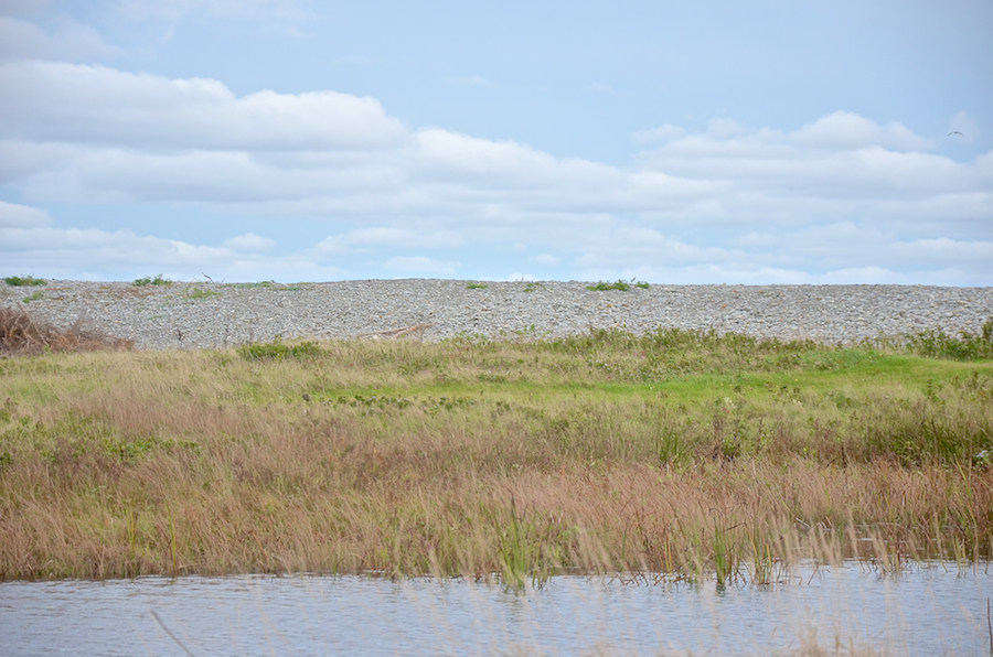 Cobblestones above the coast east of Ponds Cove