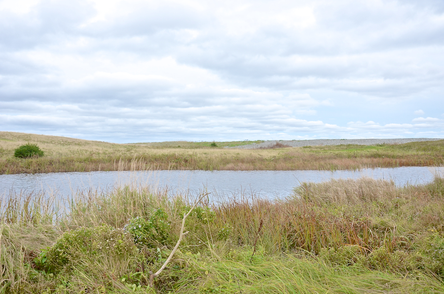 Dunes and Cobblestones above the coast east of Ponds Cove