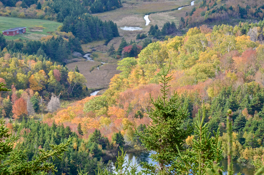 MacDonalds Glen below the trail