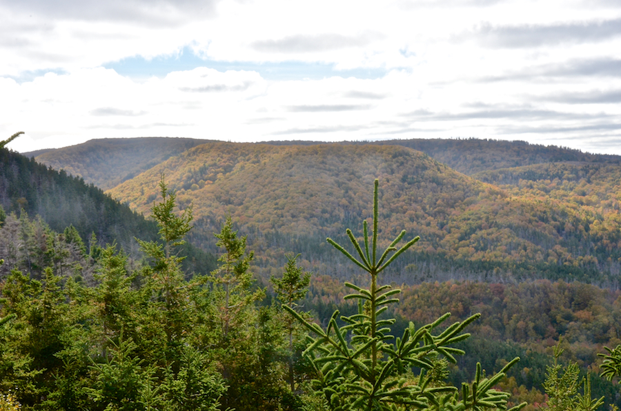 Cape Mabou Highlands above the Cul Na Beinne (Beyond the Mountain) Trail