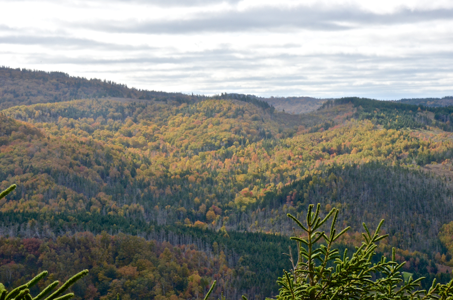 Cape Mabou Highlands above MacDonalds Glen Road