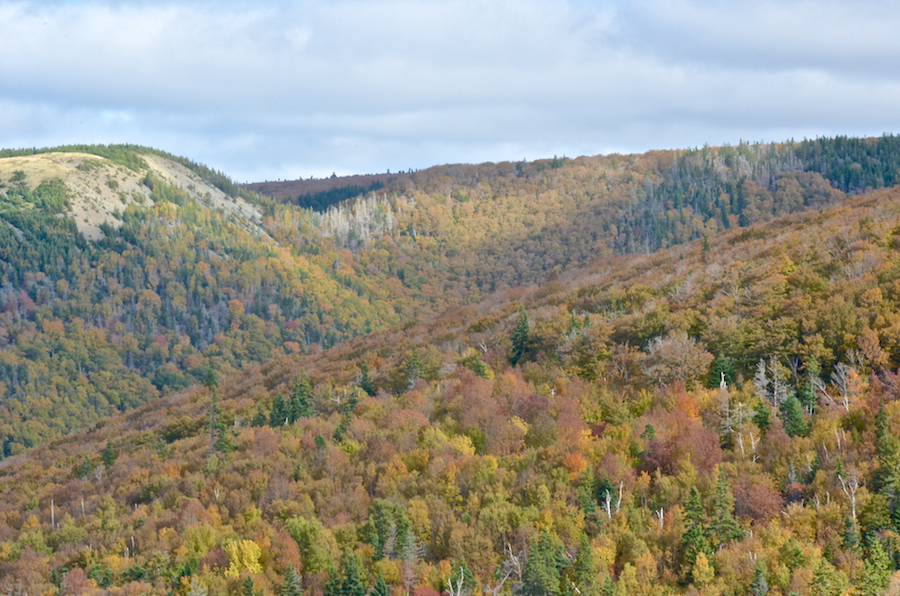 Close-up of the col east of Beinn Bhiorach