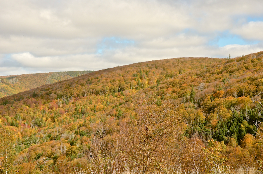 View of the slopes of the unnamed mountain