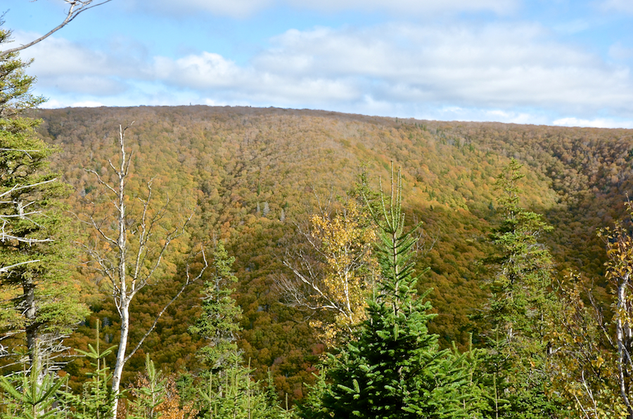 The Cape Mabou Plateau from the Beaton Trail Look-Off: Part 4