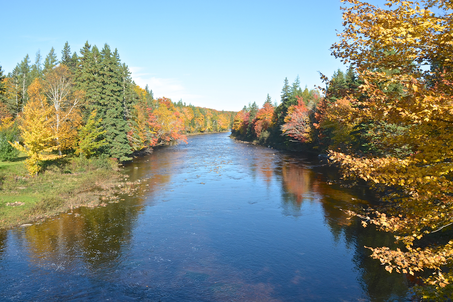 View from the centre of Long Johns Bridge