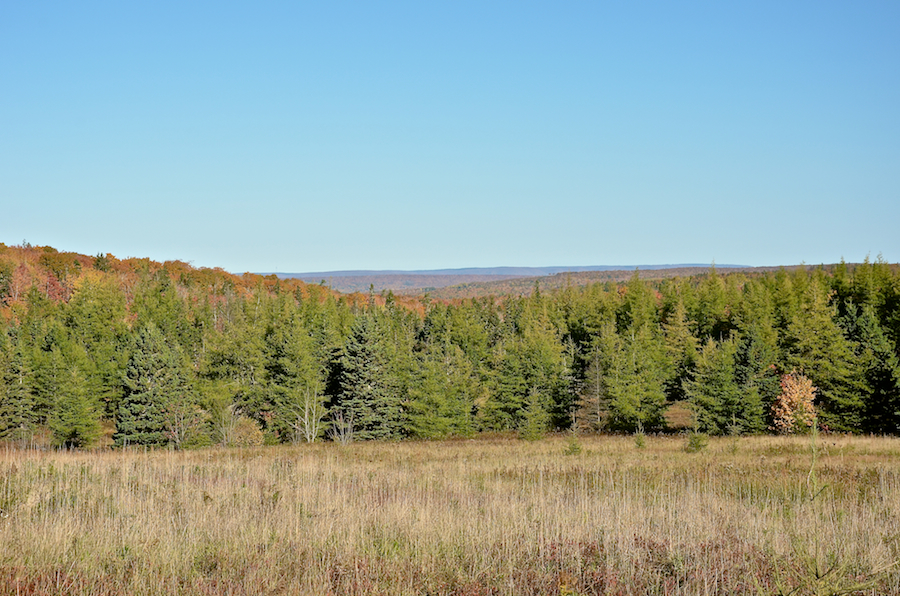 View to the north from the Glencoe Road