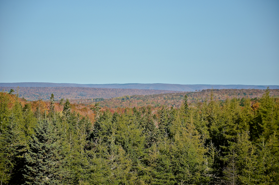 Detailed view to the north from the Glencoe Road: Part 2