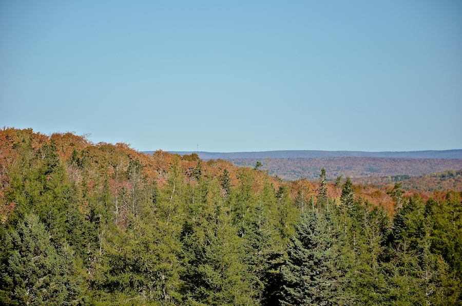 Detailed view to the north from the Glencoe Road: Part 1