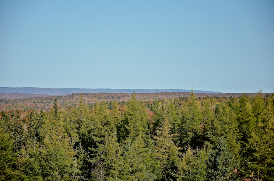 Detailed view to the north from the Glencoe Road: Part 3