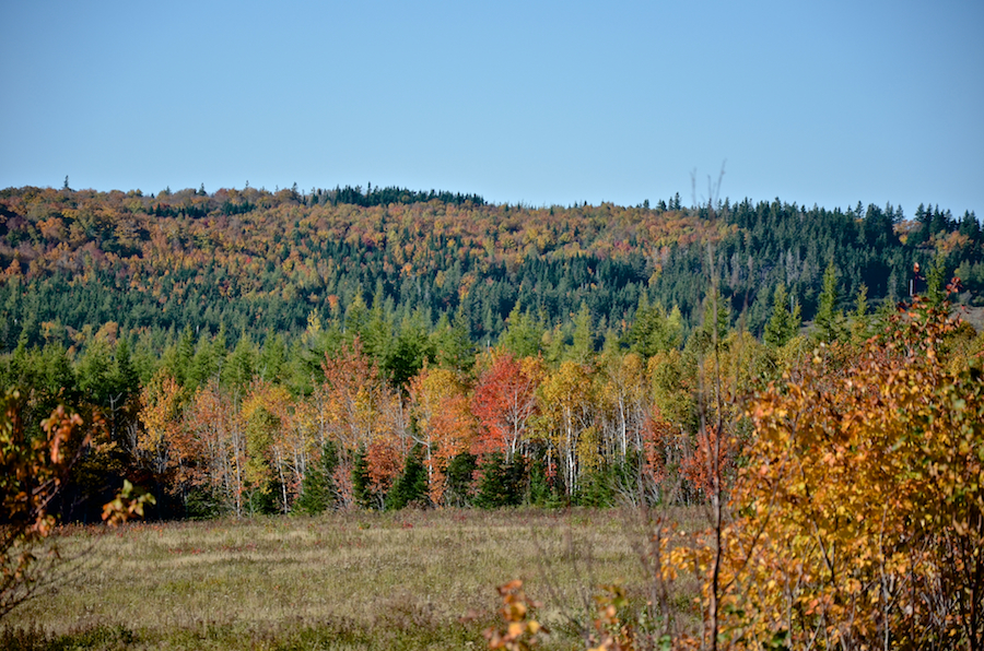 Part of the ridge above Glencoe Mills from along the Whycocomagh Road