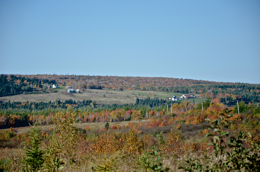 Glencoe Mills