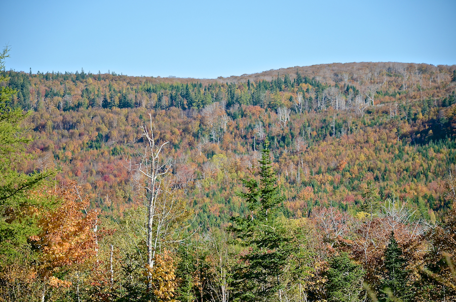 The “Rosedale Ridge” from the Whycocomagh Road: Part 1
