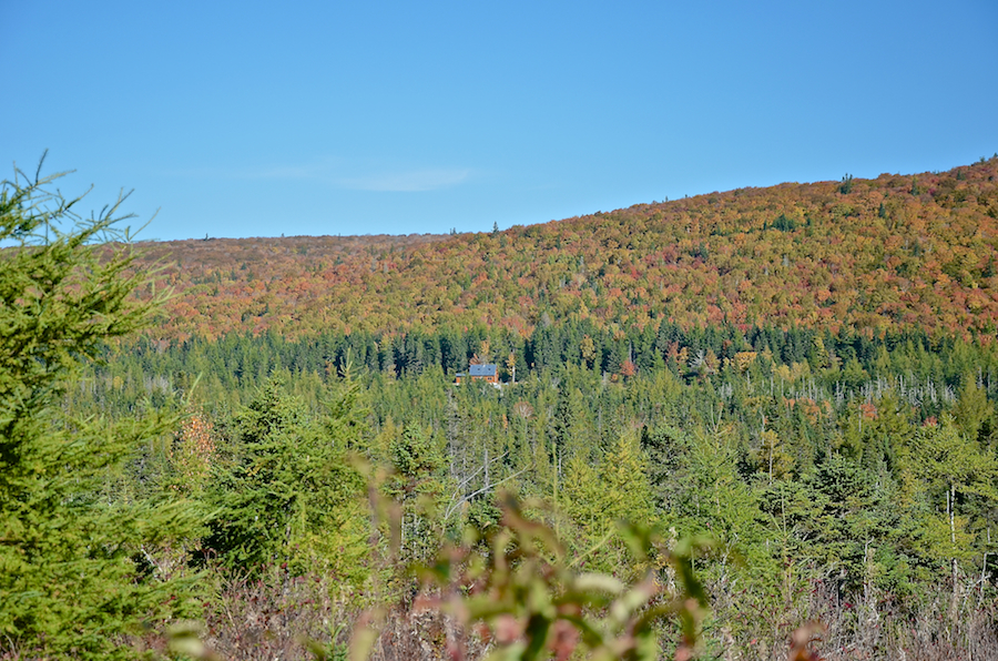 Campbells Mountain Panorama: Part 1