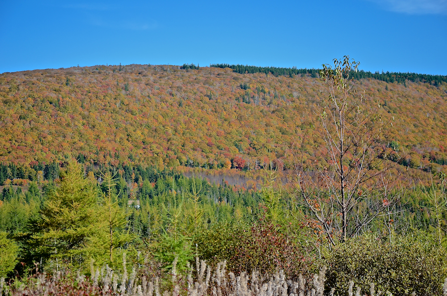 Campbells Mountain Panorama: Part 3