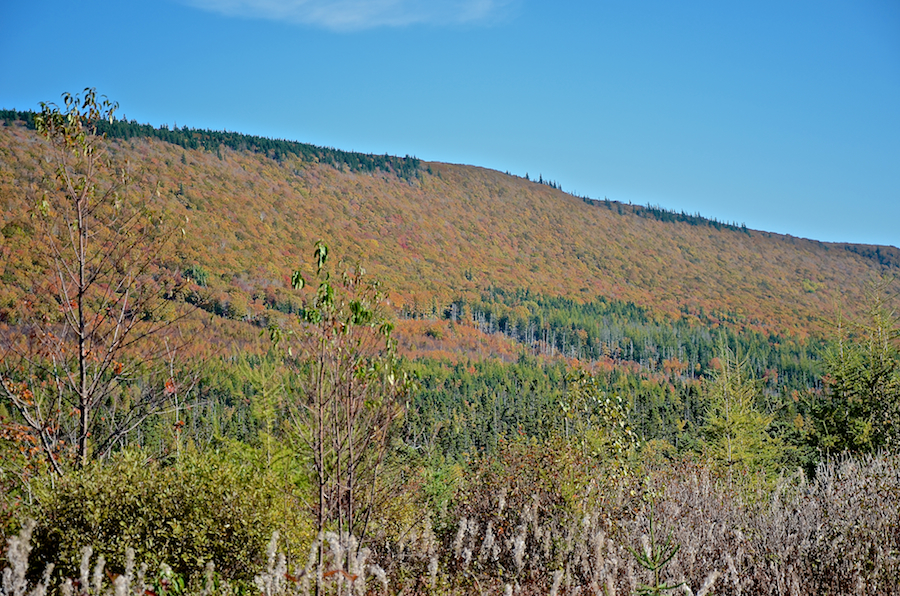 Campbells Mountain Panorama: Part 4
