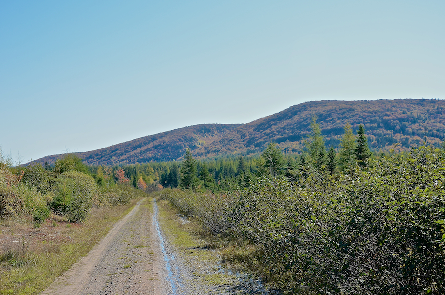 Skye Mountain from the South Side Roseburn Road