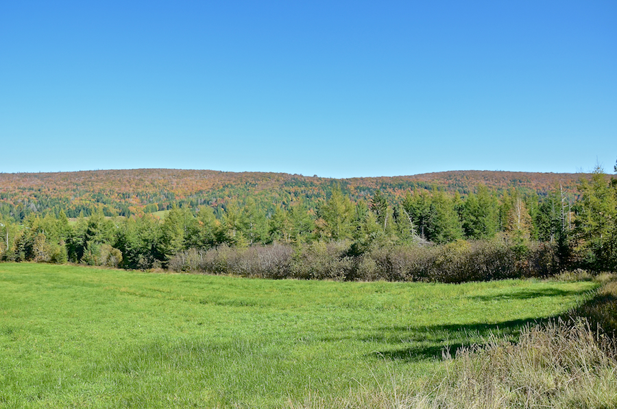 Skye Glen from Highway 252