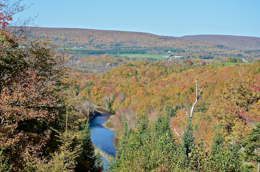 The view from the Mull River Look-Off
