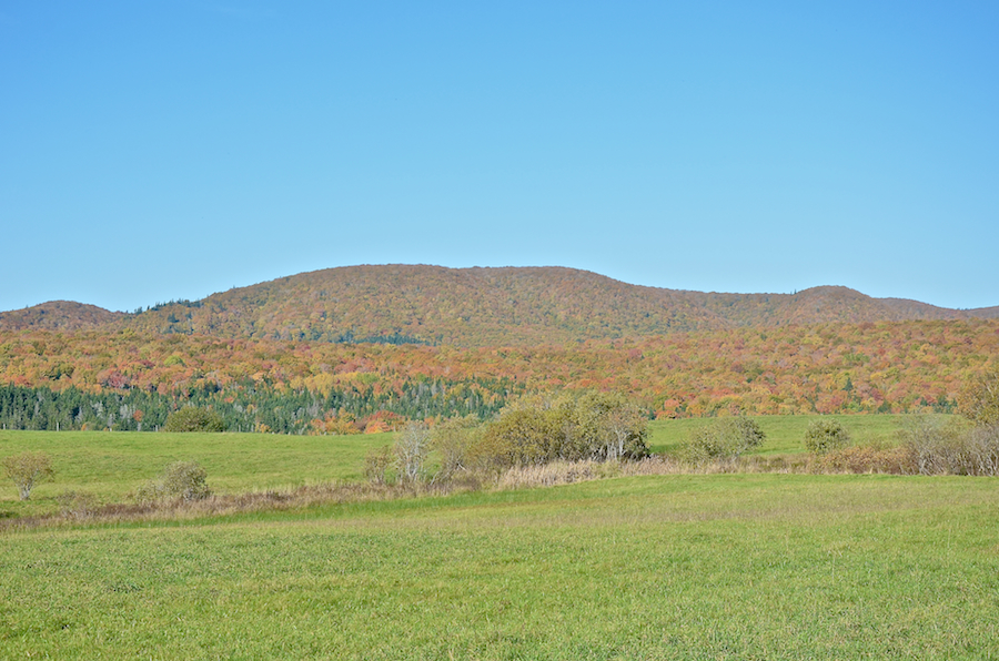 Cape Mabou Panorama from the Smithville Road: Part 3