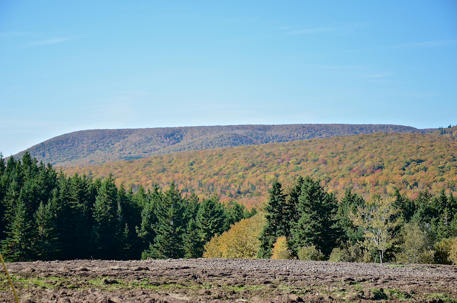 Cape Mabou Panorama from the Smithville Road: Part 1