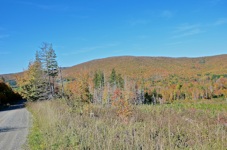 Cape Mabou from the Northeast Mabou Road: Part 1