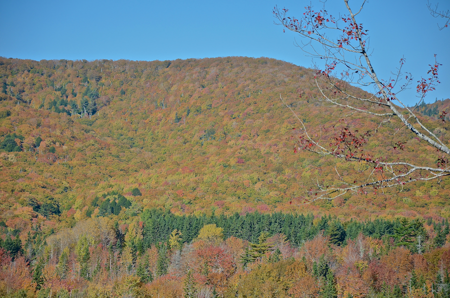 Close-up of the “knob” near Glenora Falls