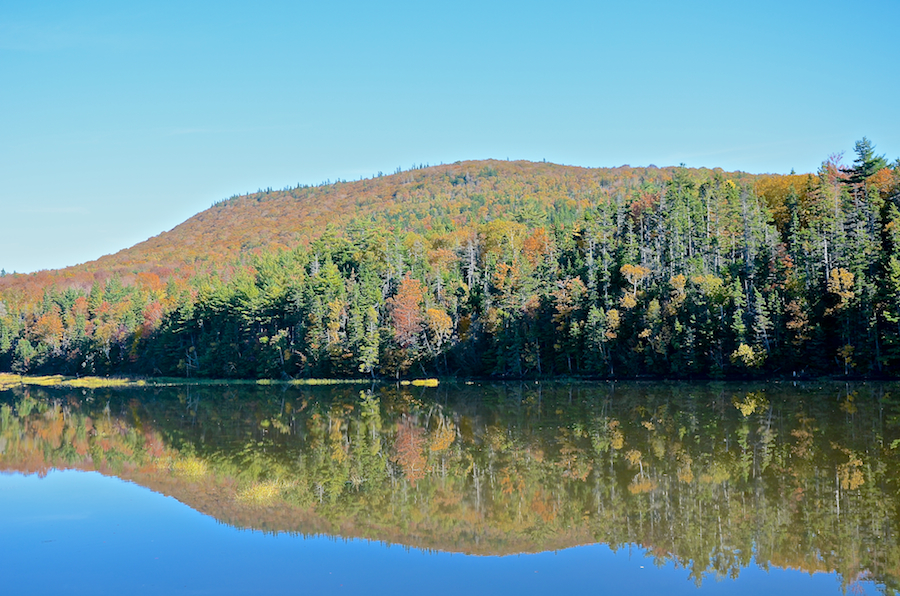 Close-up of Mabou Mountain