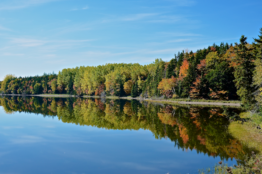 The western shore of Northeast Cove