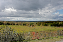 View to the south in Hillsdale